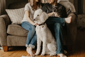 Couple on couch with dog-celebrating 25 years in business -Allgeier Air-Louisville-300x200