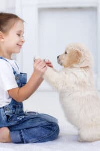 Young girl playing with her dog-celebrating 25 years in business -Allgeier Air-Louisville-300x450