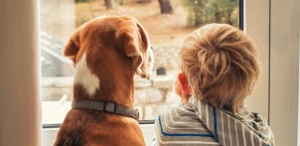 Dog and boy looking out window-Winter Comfort System Health Tips-Allgeier Air-Louisville-300x146