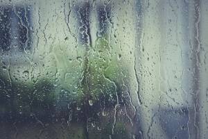 Condensation on windows-5 AC tips to save money-Allgeier Air-Louisville KY-300x200jpg
