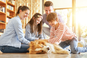 Family smiling sitting on floor together-Allgeier Air-Louisville KY-300x200jpg 